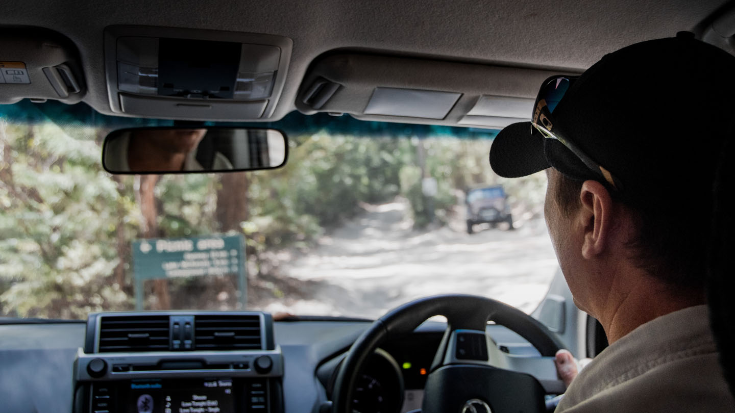 View the Driver job-profile