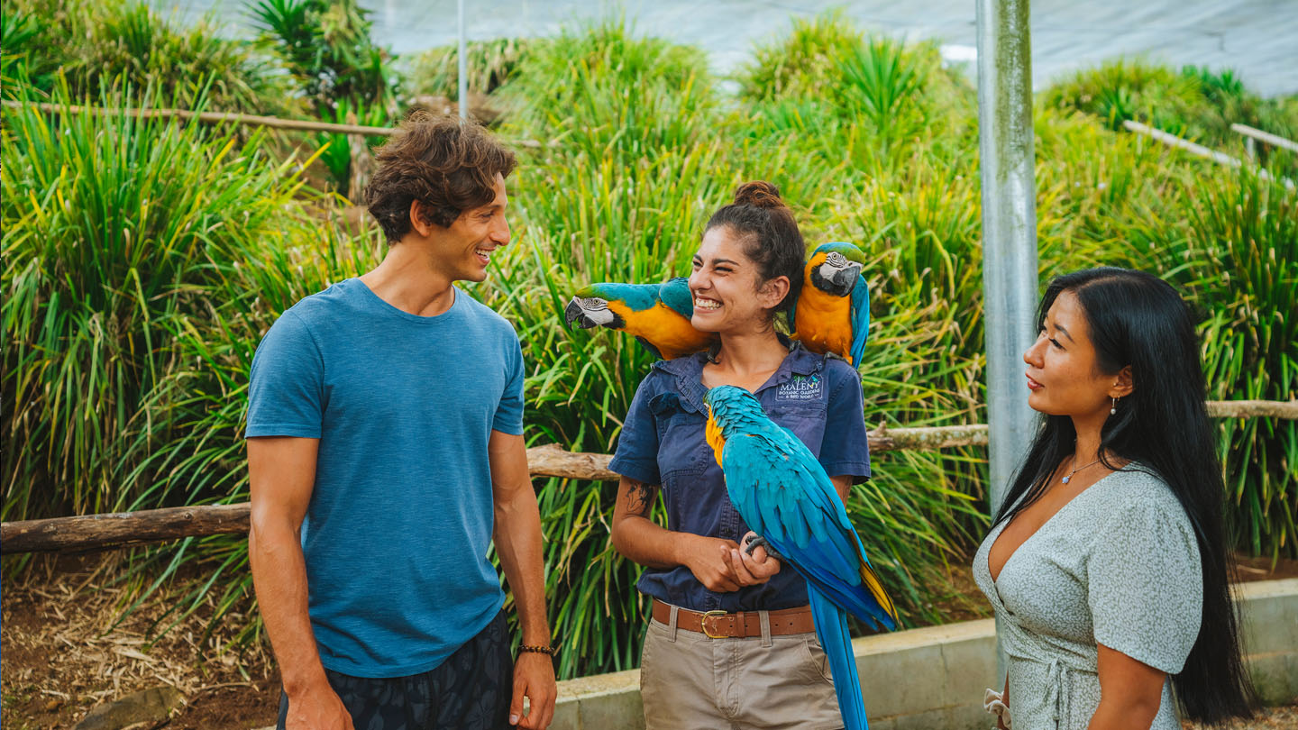 View the Wildlife attendant  job-profile