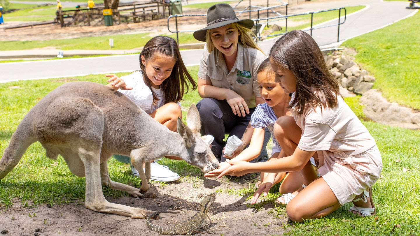 View the Wildlife education officer job-profile