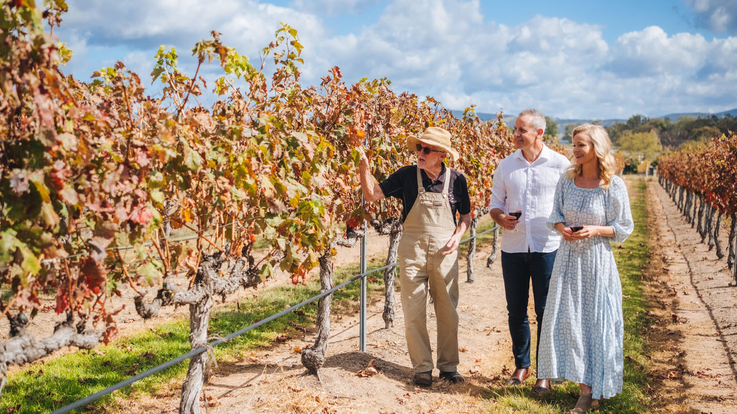 View the Wine maker job-profile